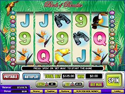 Birds of Paradise slots