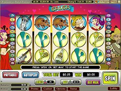 Salsa slots